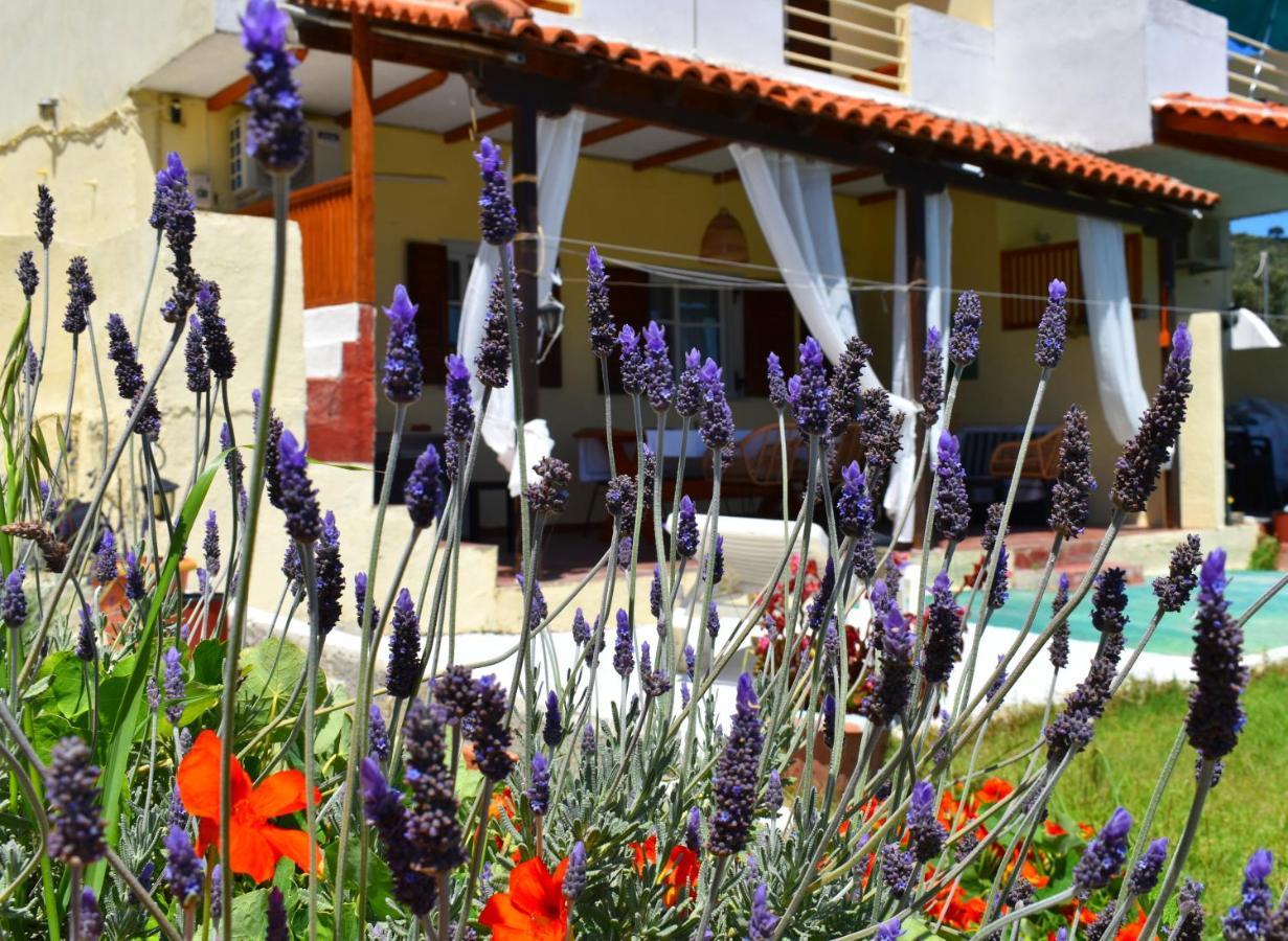 Villa Krini Skiathos Exterior foto